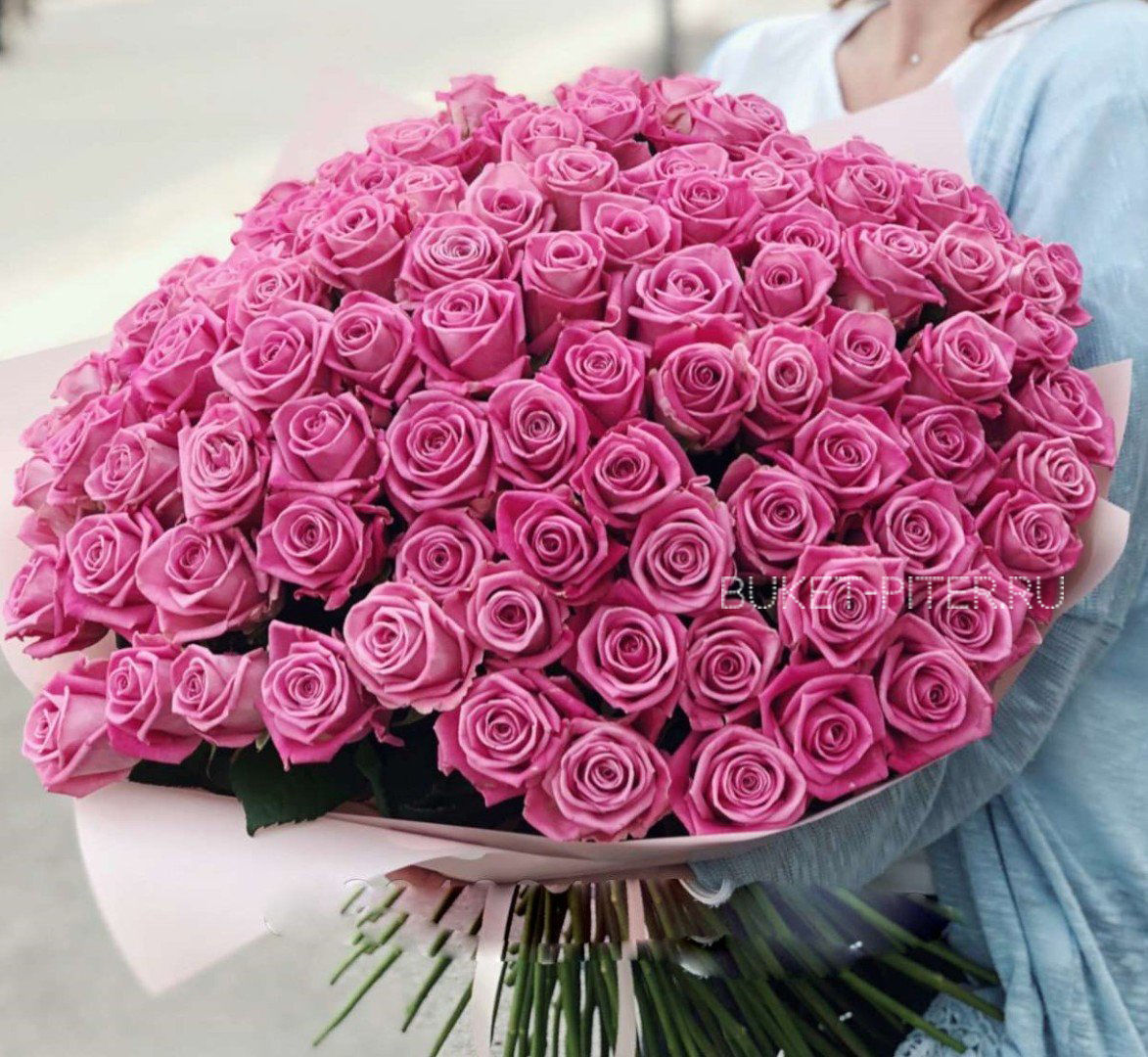 Букет Розовых Роз в упаковке