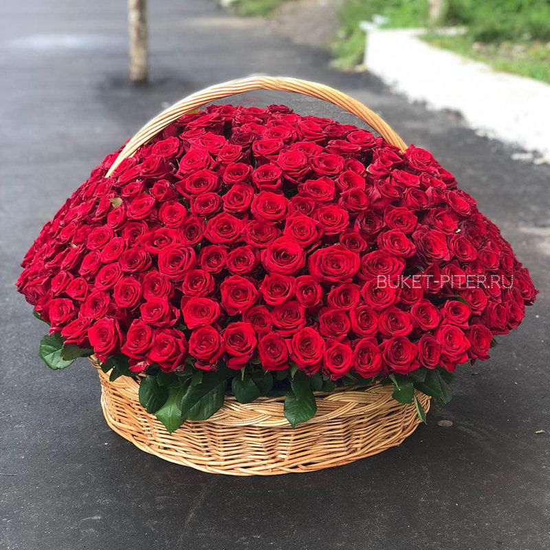 501 Красная Роза в Корзине