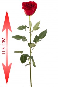 Роза красная Freedom ЭКВАДОР 115 см