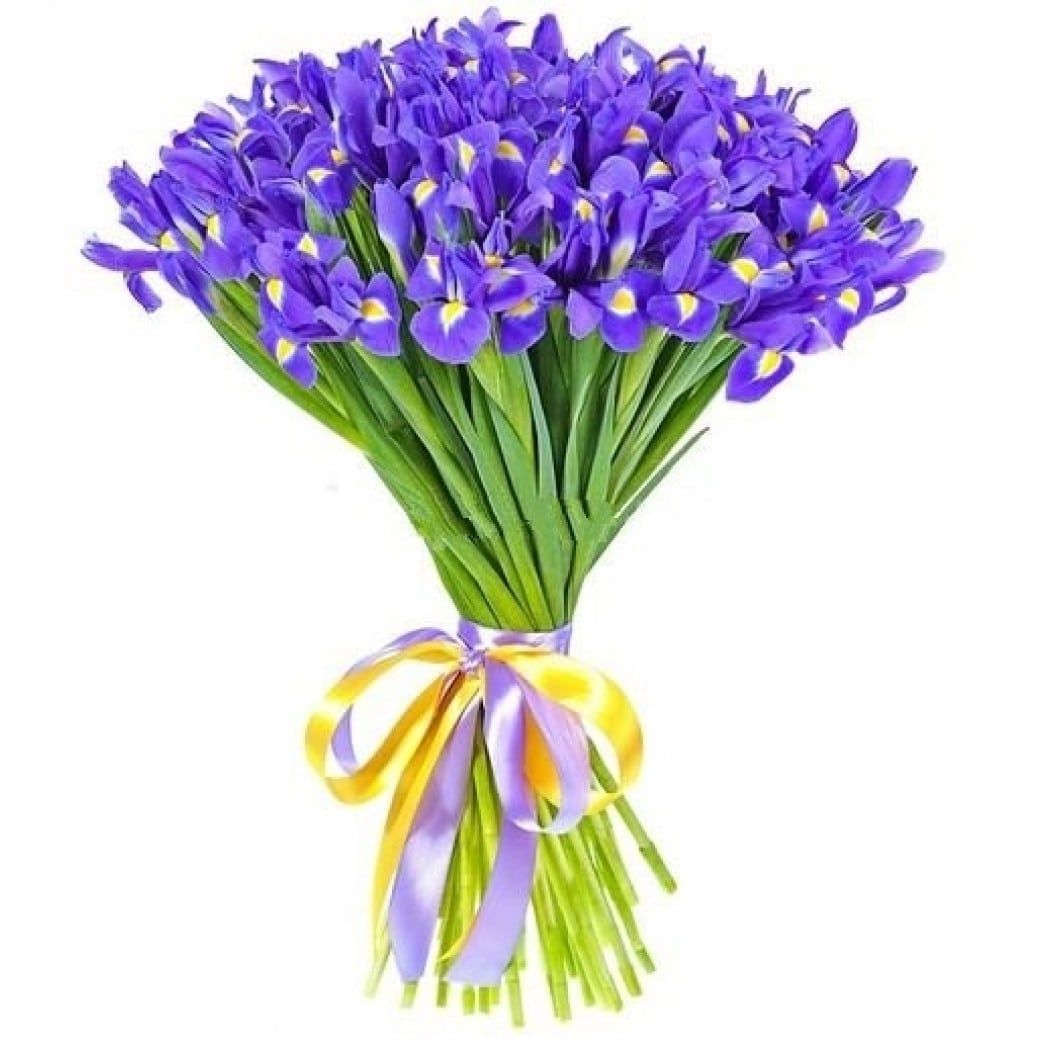 

Букет из ириcов 51шт.