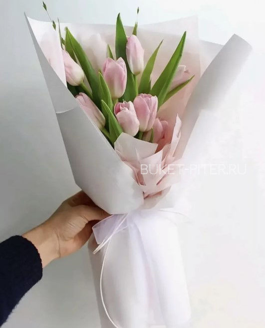 

КП Букет из 9 Тюльпанов в Матовой Упаковке (цвет тюльпана и упаковки на выбор)