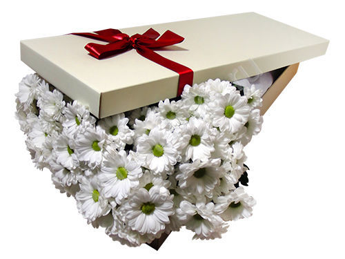 

Букет белых хризантем в белой коробке